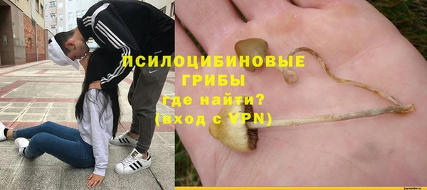 ПСИЛОЦИБИНОВЫЕ ГРИБЫ Алзамай