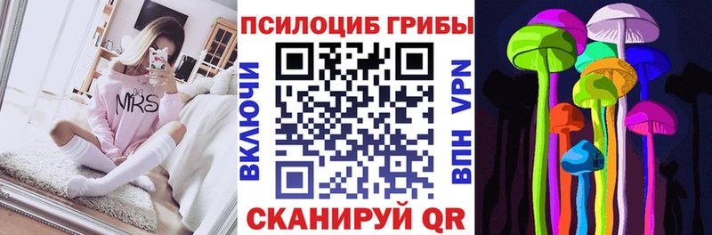 дарнет шоп  Иннополис  Псилоцибиновые грибы Psilocybine cubensis 